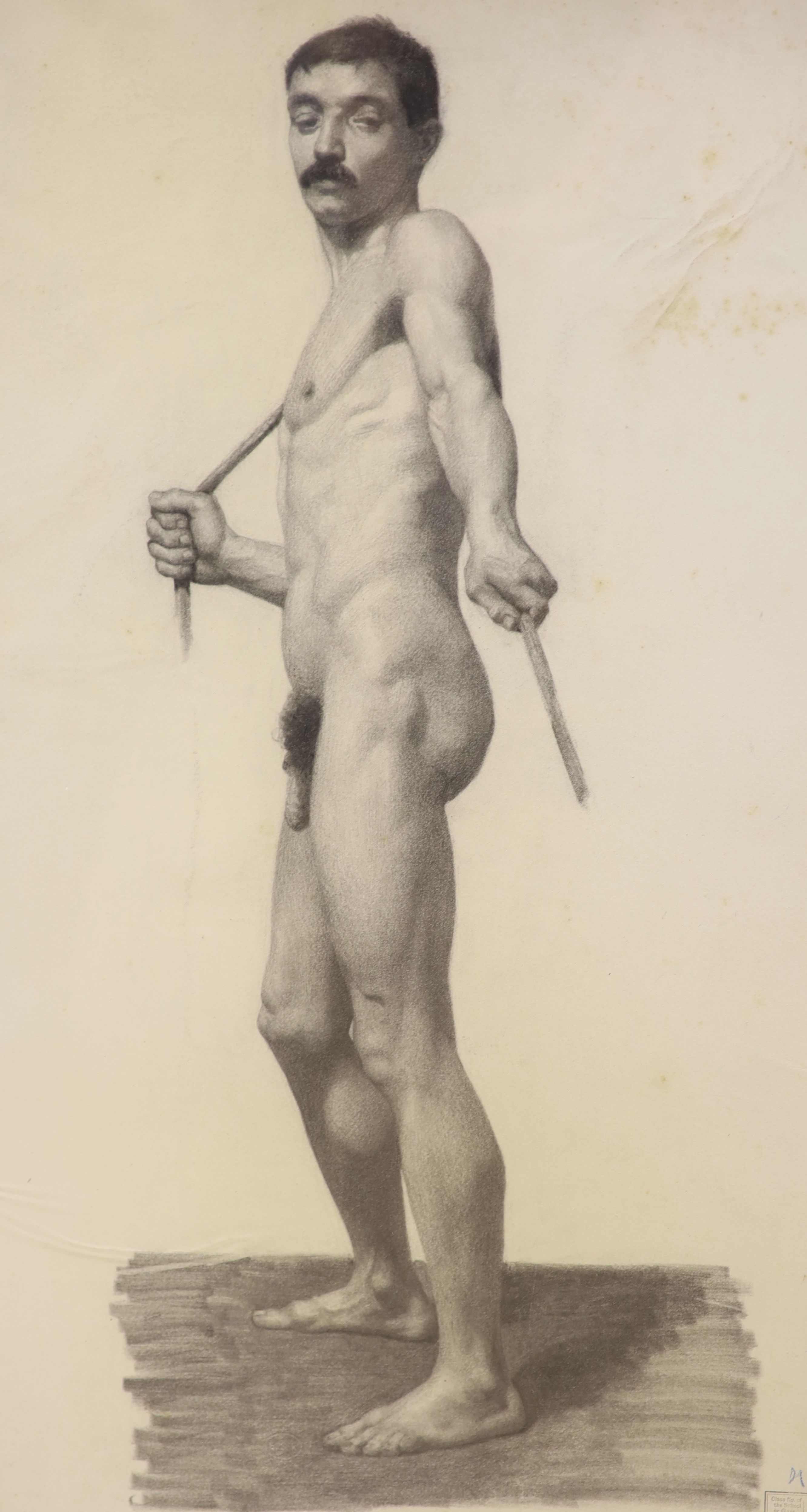 F. Gregory 1895, charcoal study, Standing male nude, with Art College stamp, 69 x 43cm